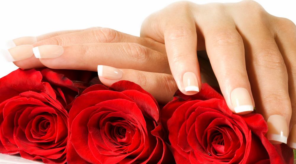 Hands with manicured nails and red roses