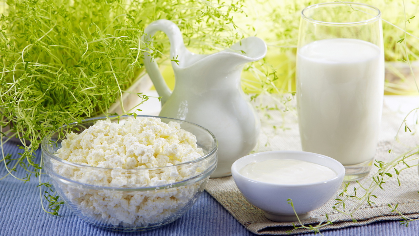 nature-cottage-hd-milk-cheese-sour-cream-dairy-products-on-the-415964