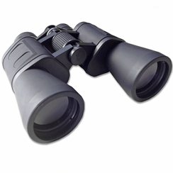 810xNZJieaL._SL1500_