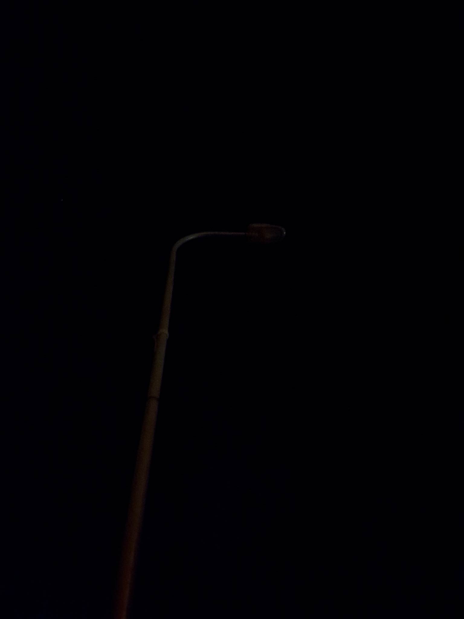 14012806_288918361481954_226568408_o