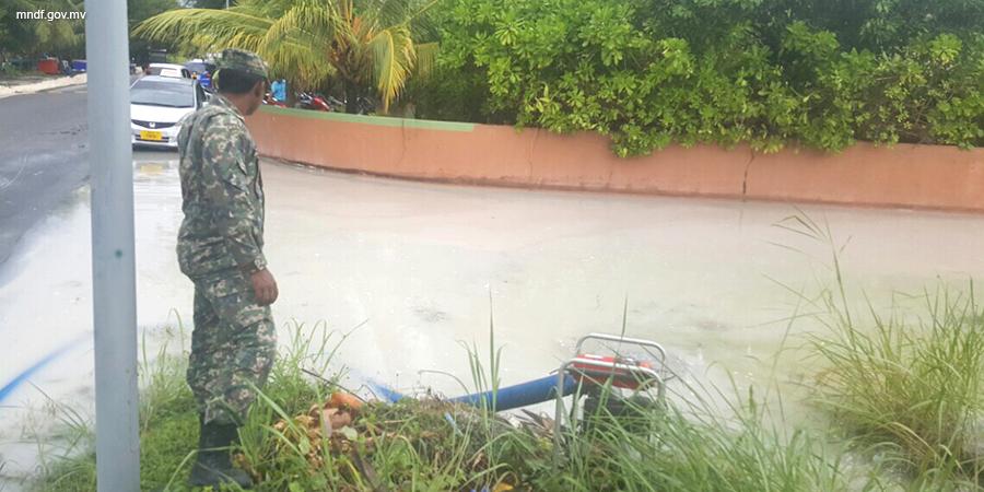 mndf