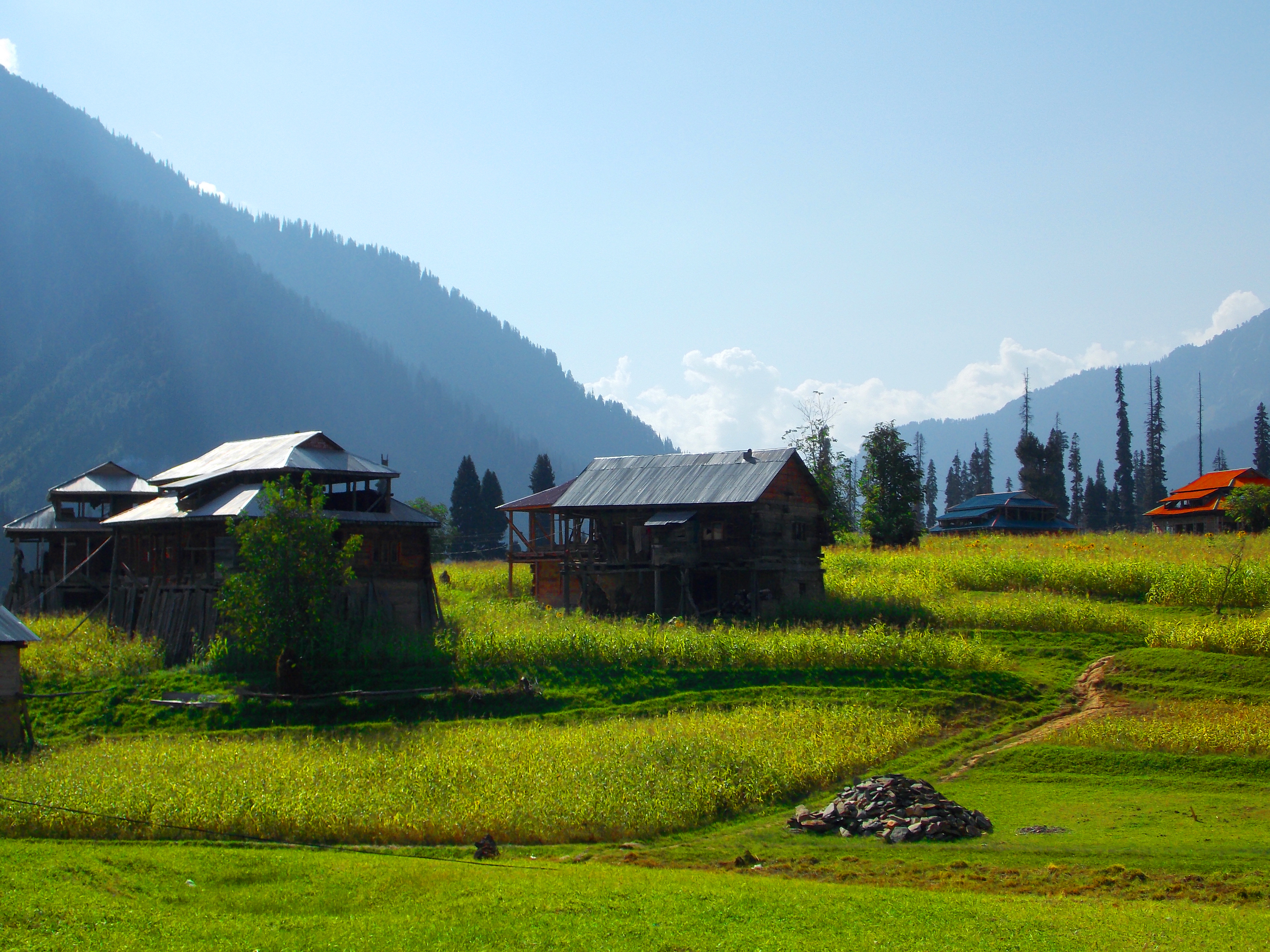 arang-kel-nelum-velly