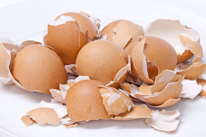 eggshells-picture
